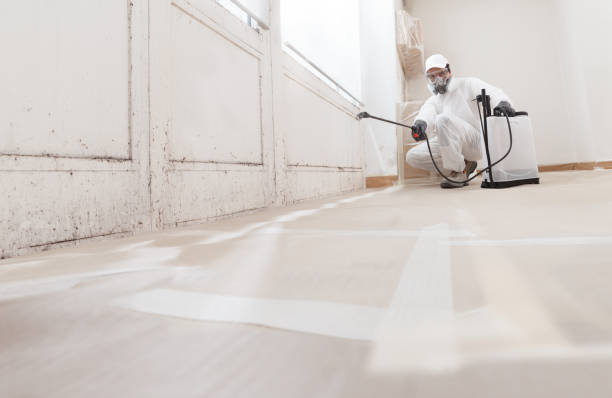 24/7 Emergency Mold Remediation experts in Buckingham, PA