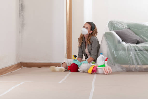 Reliable Mold Remediation contractor in Buckingham, PA by WQB Mold Removal
