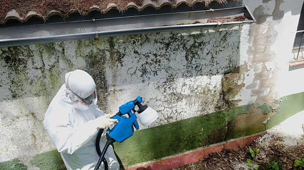 Top rated local Mold Remediation specialists in Buckingham, PA